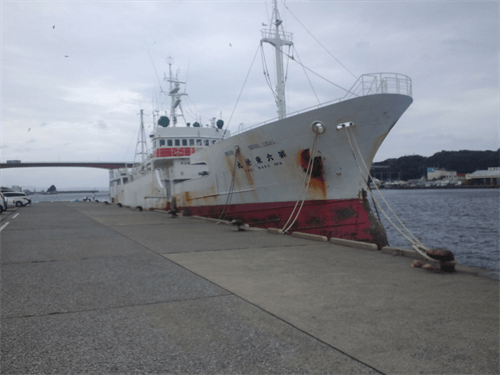 マグロ漁船稼げない